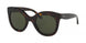 Polo 4148 Sunglasses