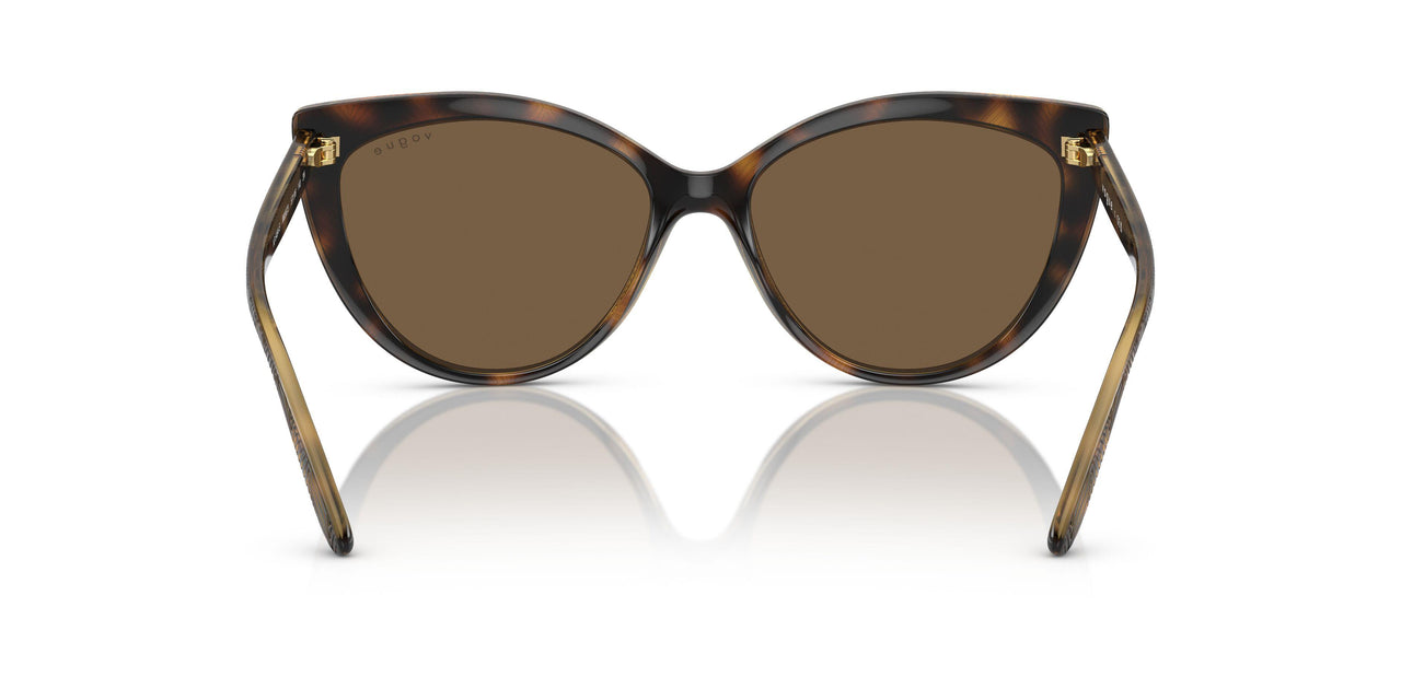 W65673 - Havana - Dark Brown