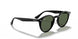 601/71 - Black - Grey Green