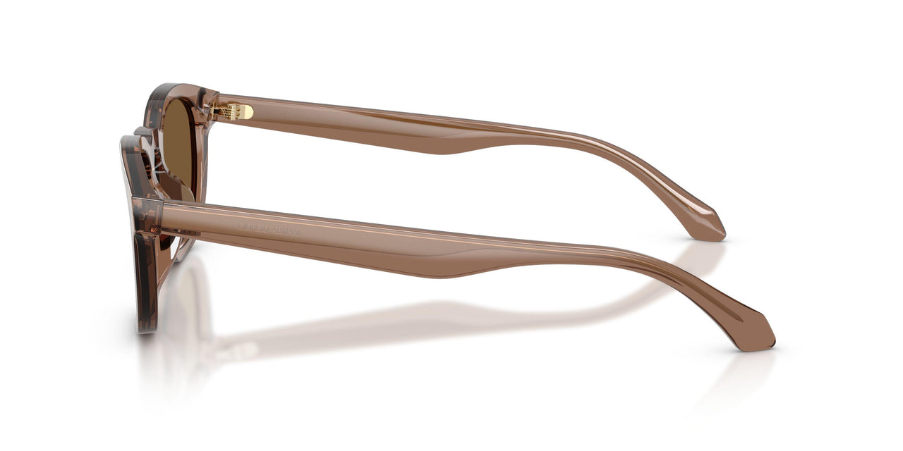 646973 - Brown - Brown