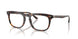 6161 - Tortoise