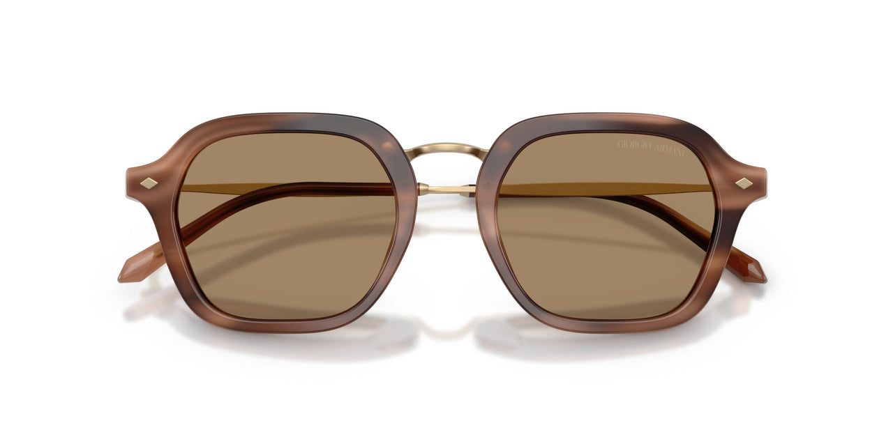 646573 - Brown - Dark Brown