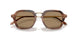 646573 - Brown - Dark Brown