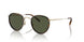 533052 - Tortoise - G-15