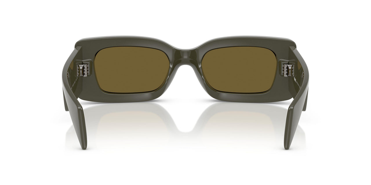 549173 - Green - Dark Brown