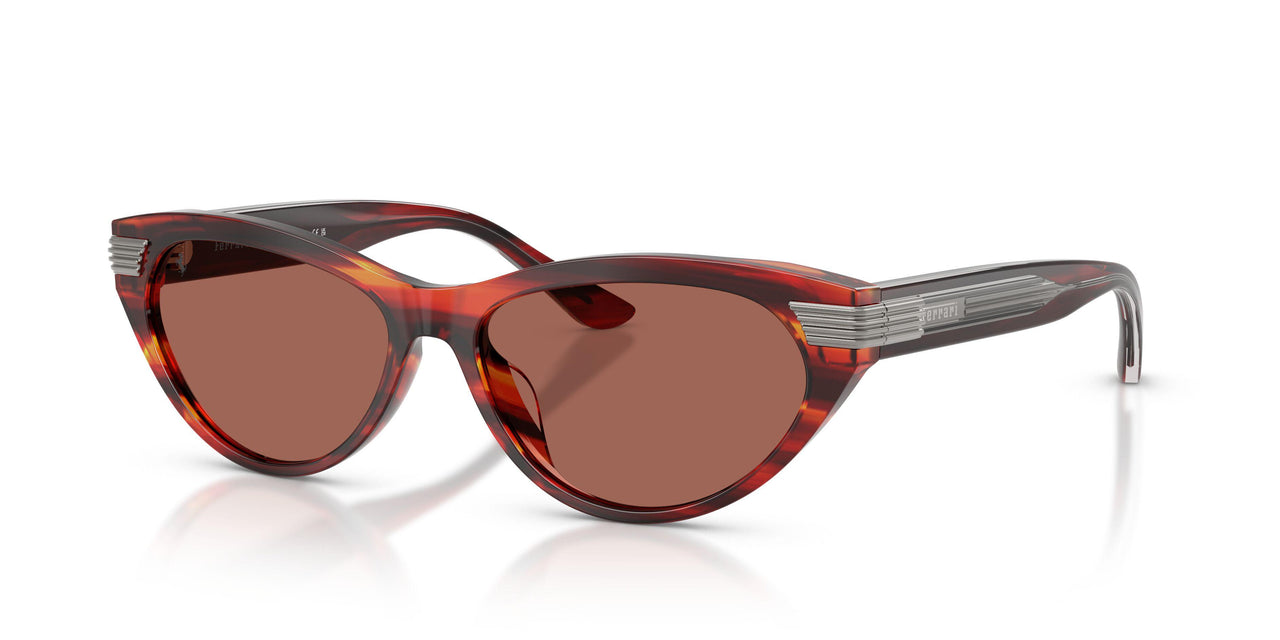 753/H2 - Tortoise - Brown
