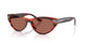753/H2 - Tortoise - Brown