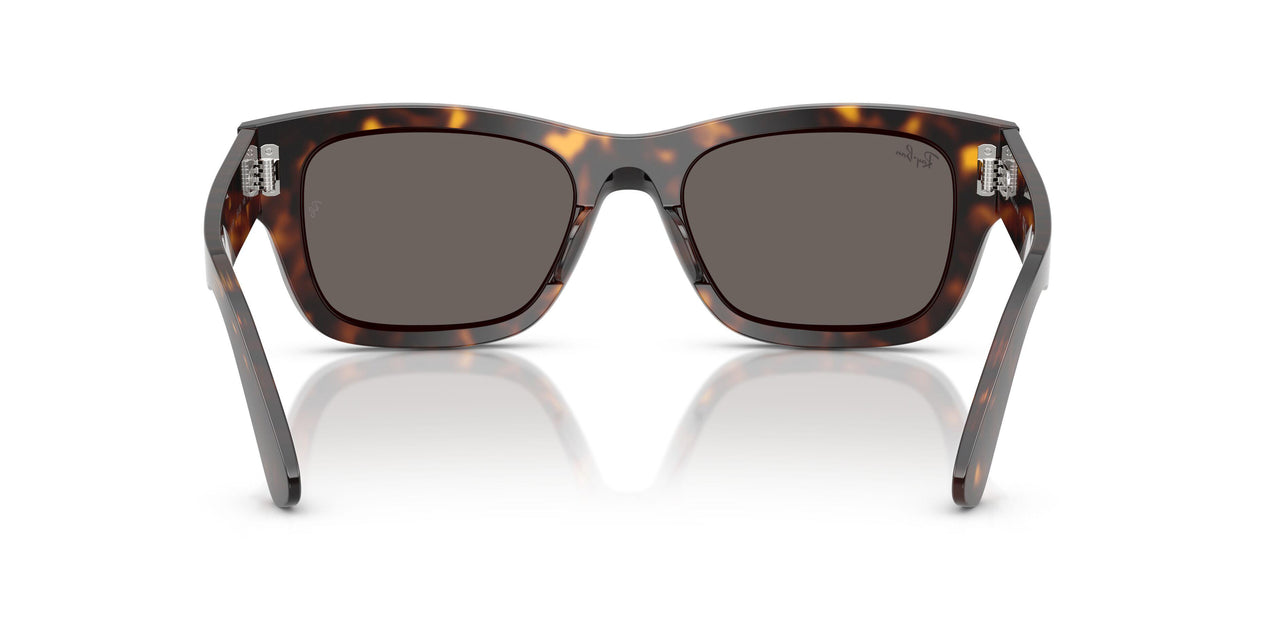 902/B1 - Tortoise - Dark Grey