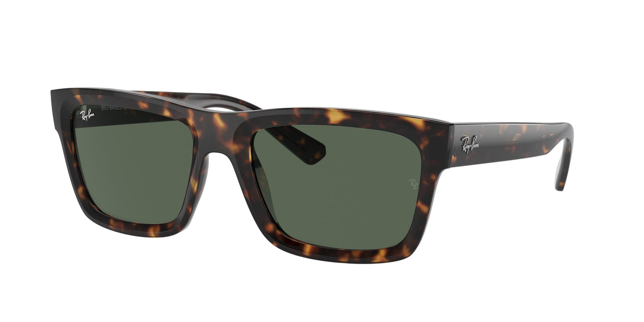 135971 - Tortoise - Dark Blue