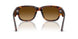 24/85 - Tortoise - Light Brown Gradient Dark Brow