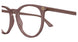 012 - Brown - Transparent