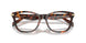 4031 - Tortoise