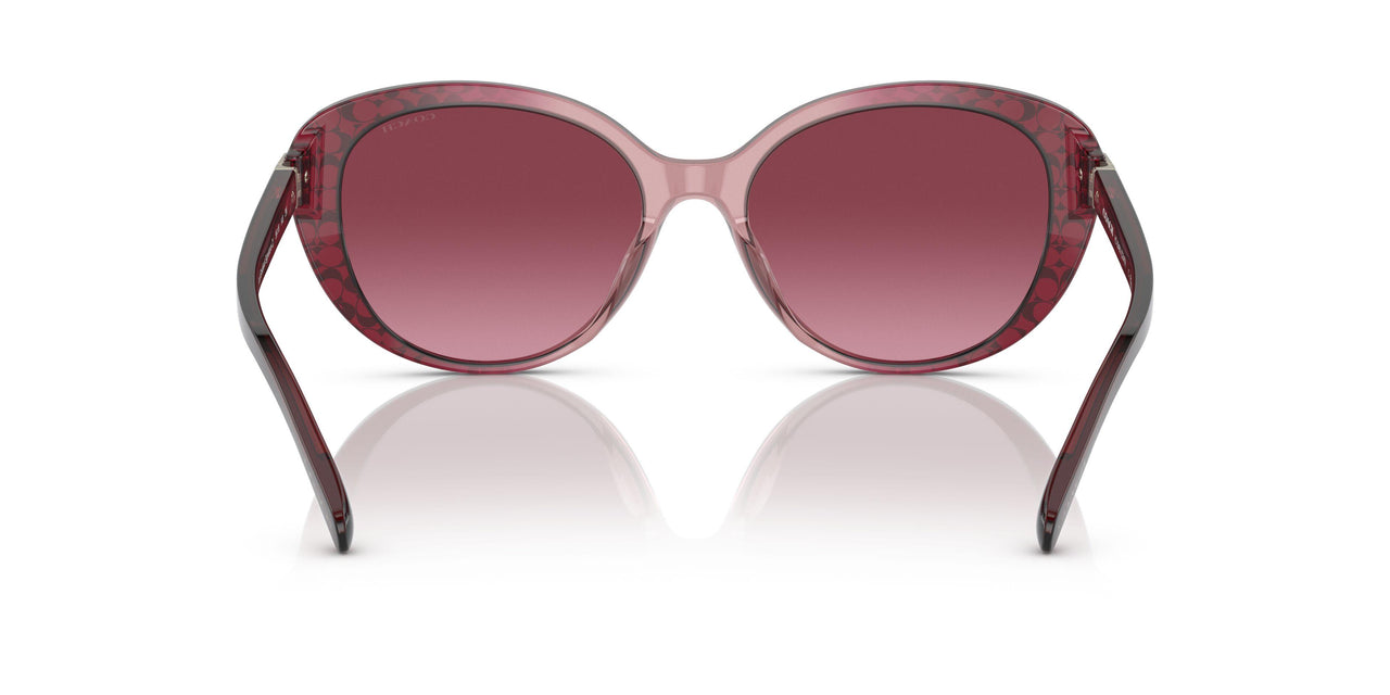 57098H - Purple/reddish - Violet Pink Gradient