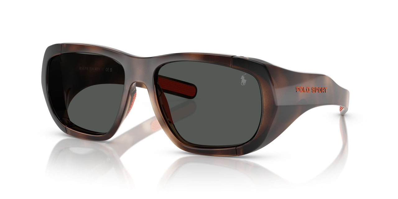 597487 - Tortoise - Dark Grey