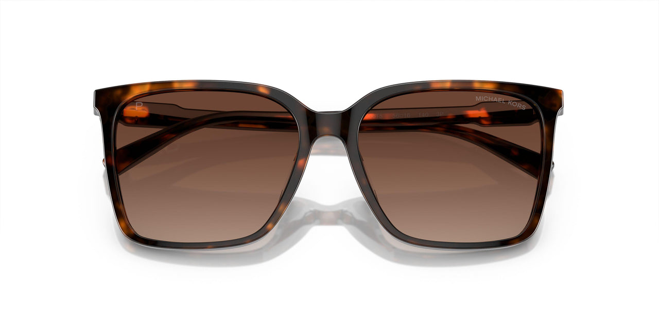 3006T5 - Tortoise - Brown Gradient Polar