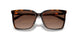 3006T5 - Tortoise - Brown Gradient Polar