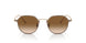 334051 - Bronze/copper - Clear Gradient Brown