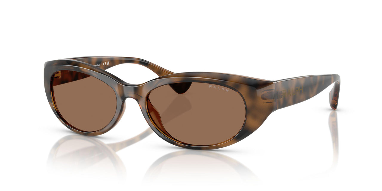 614973 - Tortoise - Dark Brown