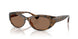 614973 - Tortoise - Dark Brown