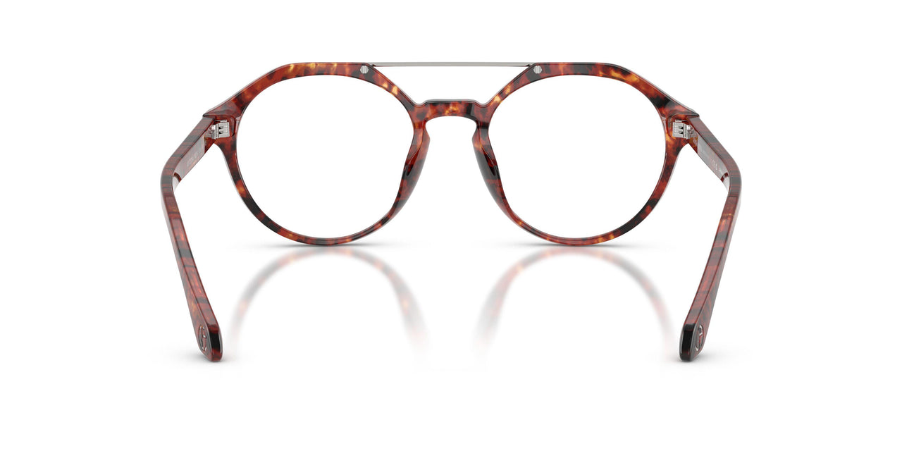 6234 - Tortoise