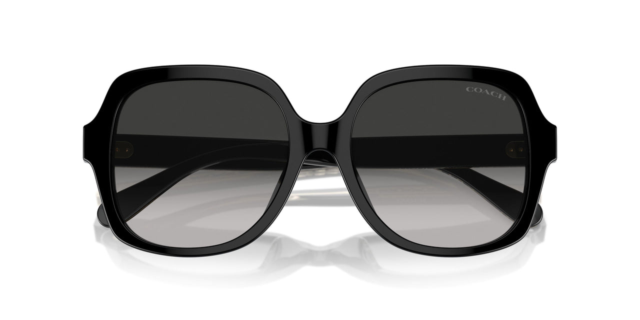 50023C - Black - Grey Gradient