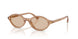 507693 - Brown - Light Brown