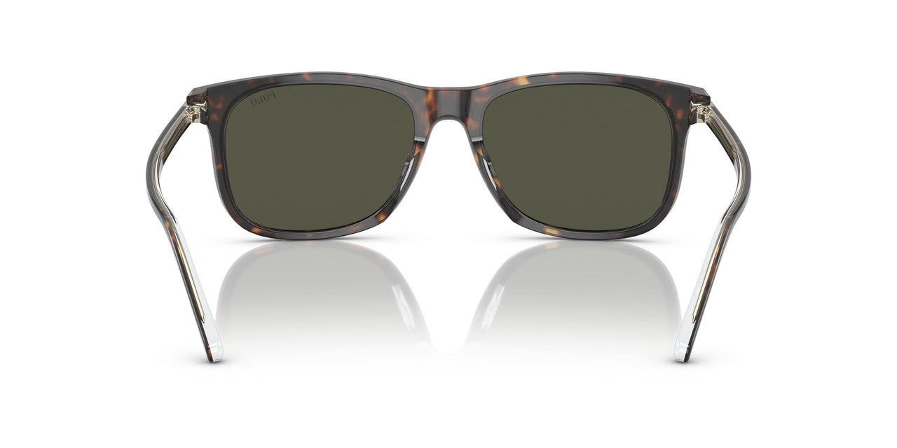 602782 - Havana - Dark Green