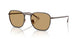 300673 - Copper - Brown