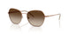 340013 - Brown - Brown Gradient
