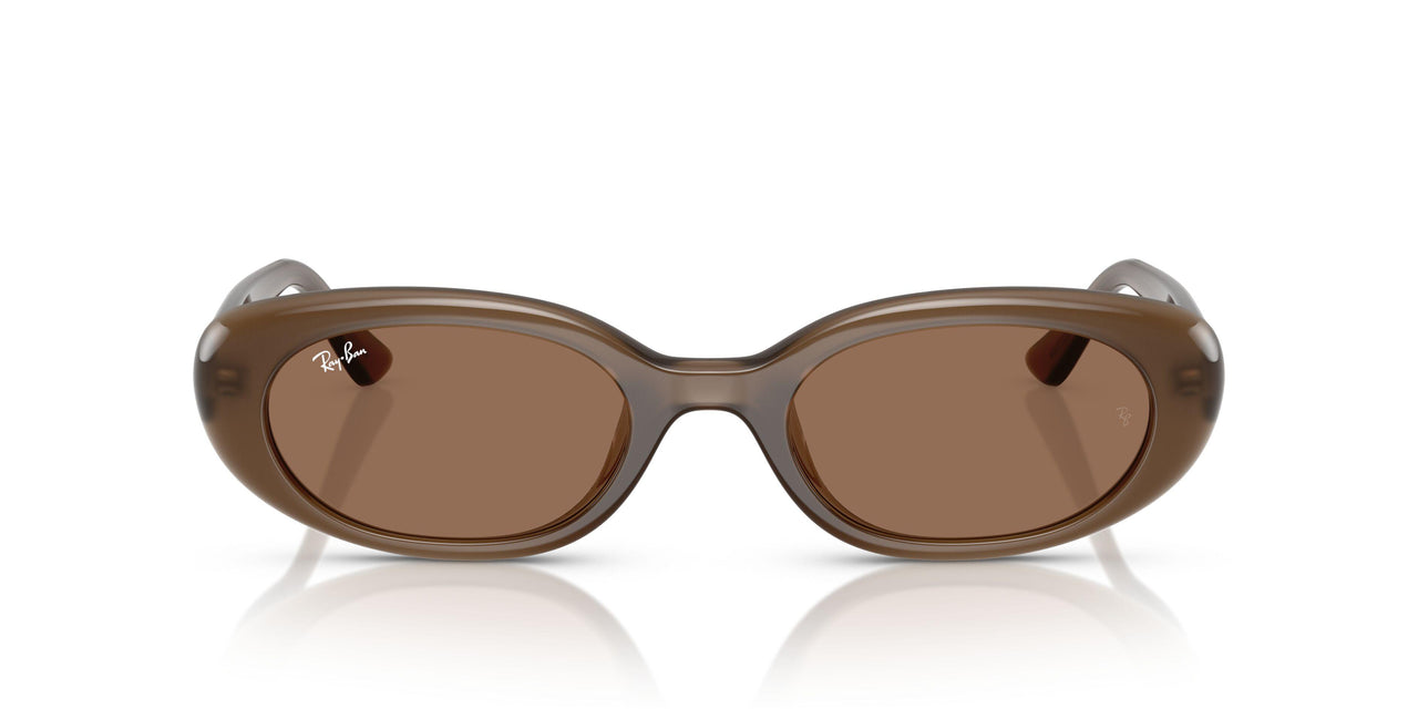 677973 - Brown - Dark Brown