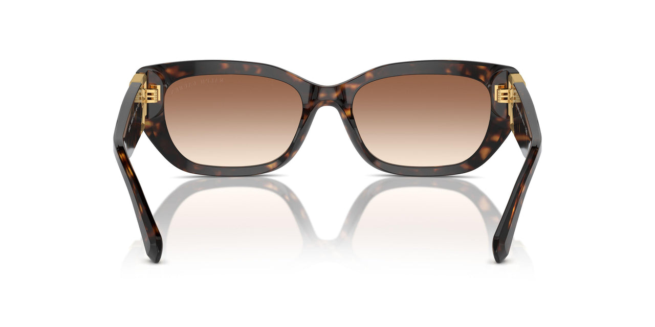 500313 - Brown - Brown Gradient