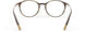 6031 - brown