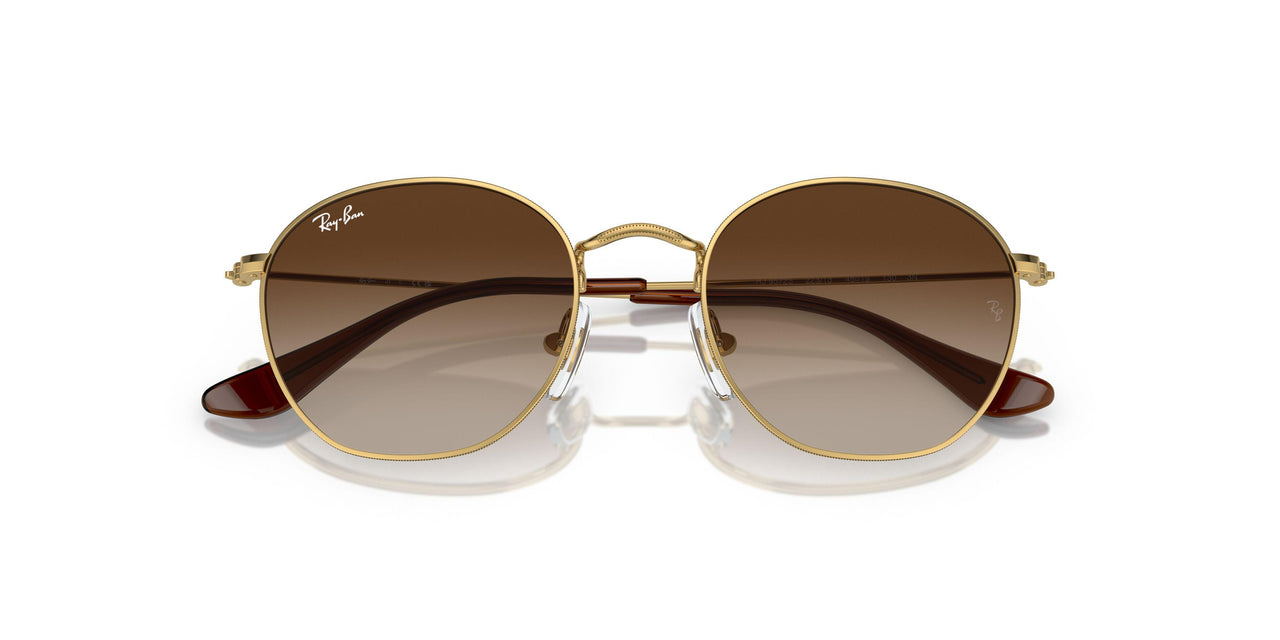223/13 - Gold - Brown
