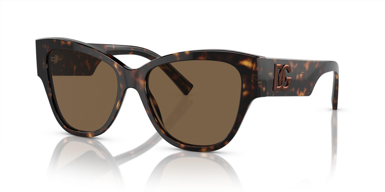 502/73 - Tortoise - Dark Brown