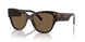 502/73 - Tortoise - Dark Brown