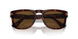 24/57 - Tortoise - Polar Brown