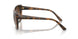 238613 - Havana - Brown Gradient