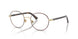 Polo 1248 Eyeglasses