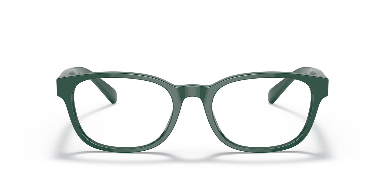 5421 - Green