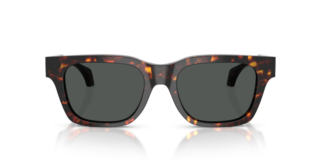 550987 - Tortoise - Dark Grey