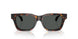 550987 - Tortoise - Dark Grey