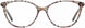 DB4K COSMIC Eyeglasses