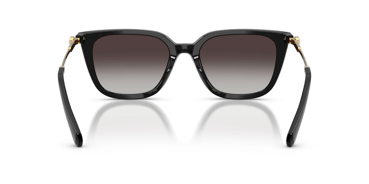 10018G - Black - Gradient Grey