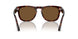 24/57 - Tortoise - Polar Brown