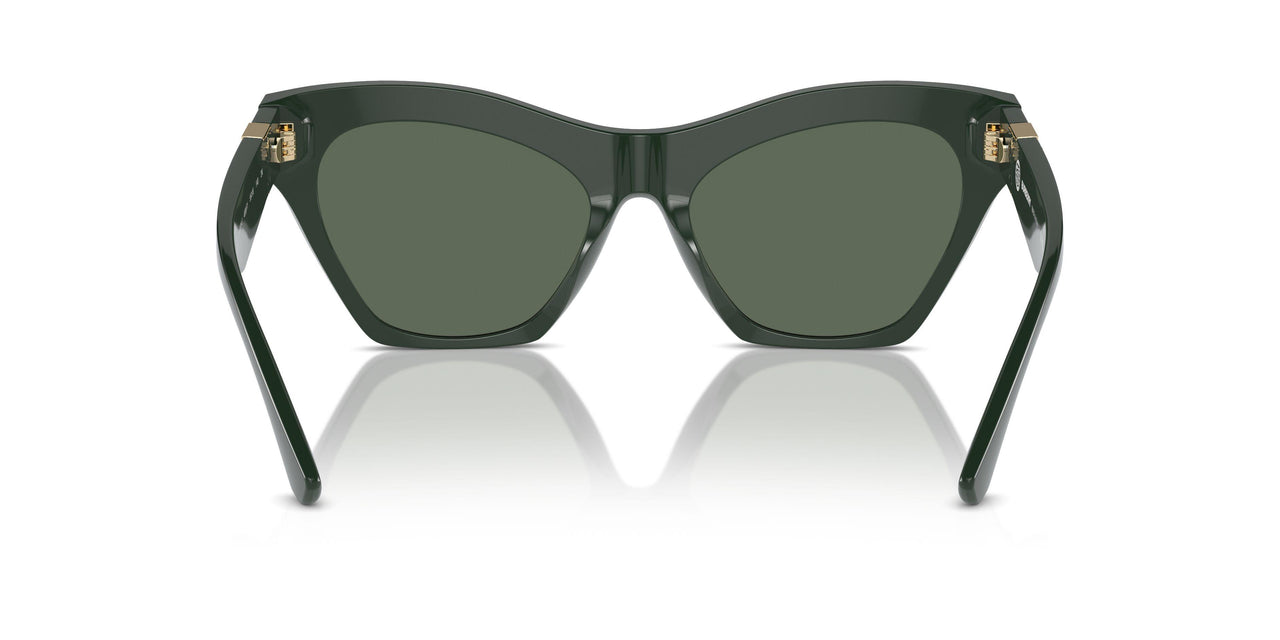 403871 - Green - Dark Green