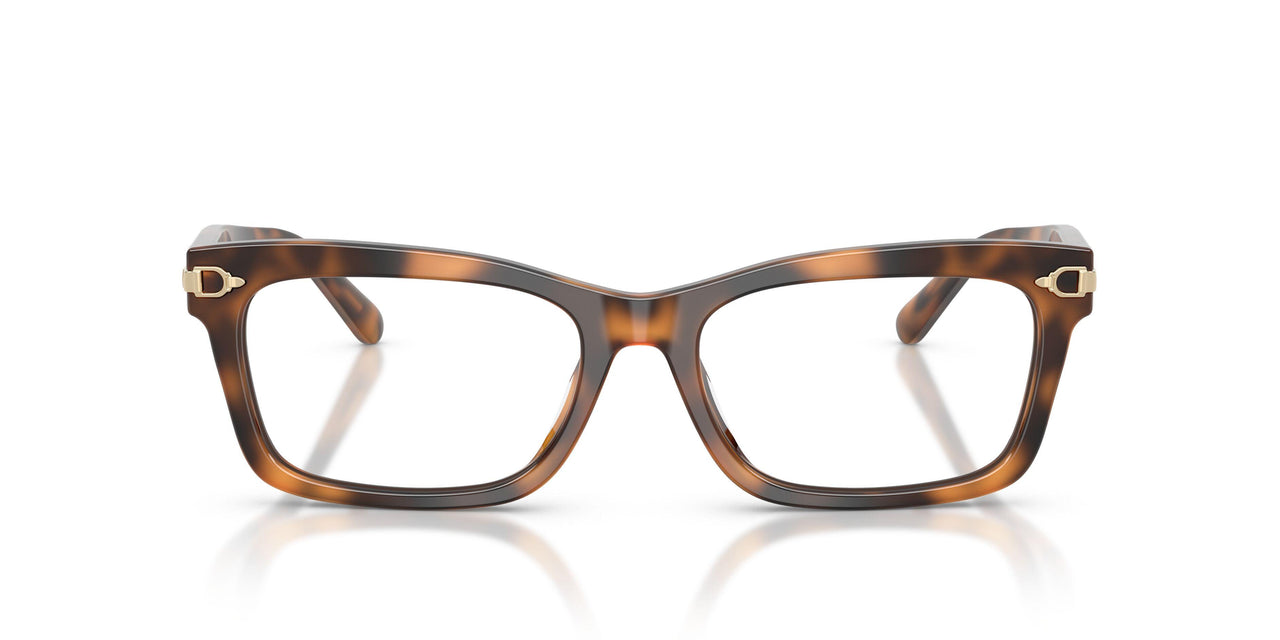 6089 - Tortoise