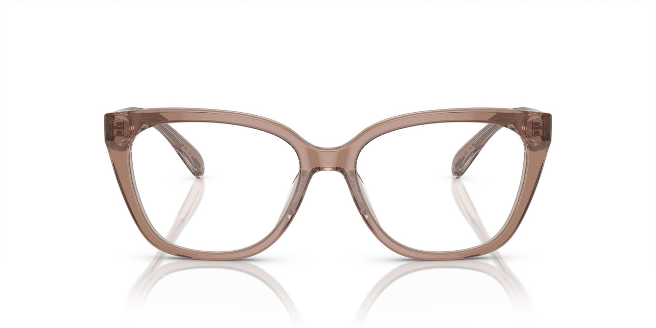 5779 - Brown