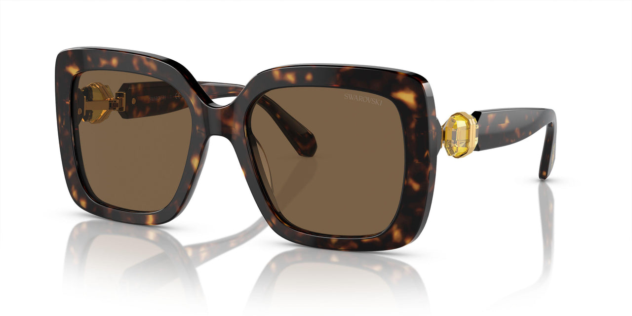 100273 - Tortoise - Dark Brown