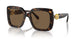 100273 - Tortoise - Dark Brown