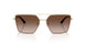 300613 - Gold - Brown Gradient
